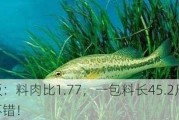 张老板：料肉比1.77，一包料长45.2斤猪，确实不错！