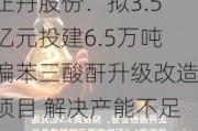 正丹股份：拟3.5亿元投建6.5万吨偏苯三酸酐升级改造项目 解决产能不足问题