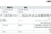 申格电子（873610）：拟出资设立安徽申格电子科技有限公司