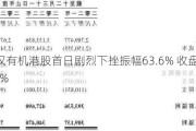 武汉有机港股首日剧烈下挫振幅63.6% 收盘涨27.6%