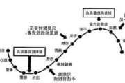 投资心态调整：如何在股票市场中保持长期投资视角