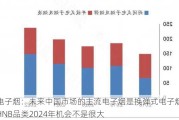 电子烟：未来中国市场的主流电子烟是换弹式电子烟，HNB品类2024年机会不是很大