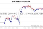 狮头股份（600539）：6月12日09时32分触及涨停板