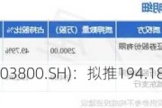 道森股份(603800.SH)：拟推194.18万份股票期权激励计划