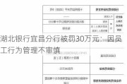 湖北银行宜昌分行被罚30万元：因员工行为管理不审慎