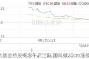 国家大基金持股概念午后活跃 国科微20cm涨停