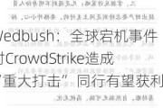 Wedbush：全球宕机事件对CrowdStrike造成“重大打击” 同行有望获利