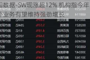 万国数据-SW现涨超12% 机构指今年海外业务有望维持强劲增长