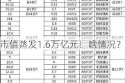 市值蒸发1.6万亿元！啥情况？