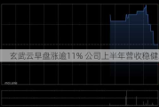 玄武云早盘涨逾11% 公司上半年营收稳健增长