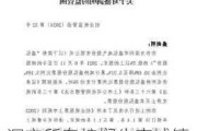 深交所向棕榈生态城镇发展股份有限公司及相关人员发出监管函