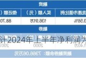 华宝新能：预计2024年上半年净利润为6000万元~8000万元