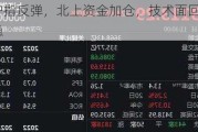 沪指反弹，北上资金加仓，技术面回稳