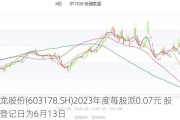 圣龙股份(603178.SH)2023年度每股派0.07元 股权登记日为6月13日