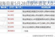 沪深股通|海目星5月28日获外资买入0.20%股份