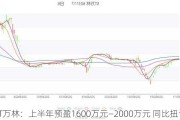 ST万林：上半年预盈1600万元―2000万元 同比扭亏