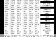 飞南资源:关于部分首次公开发行前已发行股份上市流通的提示性公告