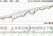 容百科技：上半年归母净利润同比下降97.29%