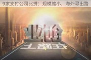 9家支付公司比拼：规模缩小，海外寻出路