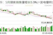 中国神华：5月煤炭销售量增长5.3%，发电量同比上升6.8%