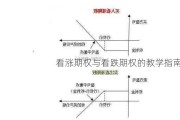 看涨期权与看跌期权的教学指南