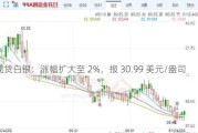 现货白银：涨幅扩大至 2%，报 30.99 美元/盎司