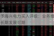 国海证券给予海兴电力买入评级：业务增长稳健，电表出海龙头长期发展可期