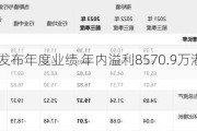 美建集团发布年度业绩 年内溢利8570.9万港元同比减少14.49%