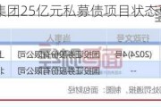 惠州市国投集团25亿元私募债项目状态更新为“终止”