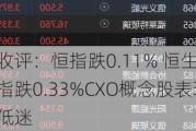 收评：恒指跌0.11% 恒生科指跌0.33%CXO概念股表现低迷