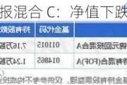 嘉合锦元回报混合 C：净值下跌，持仓披露