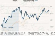 鹏华品质优选混合A：净值下跌0.74%，近6个月收益率达12.38%