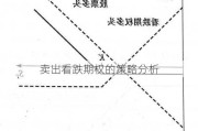 卖出看跌期权的策略分析