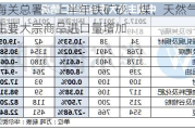 海关总署：上半年铁矿砂、煤、天然气等主要大宗商品进口量增加