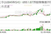 利元亨(688499.SH)：6551.87万股限售股7月1日起上市流通