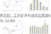 新莱应材：上半年净利润同比预增8.41%―32.8%