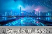 润欣商业葫芦岛公司100%股权及相关债权挂牌转让，底价约2.24亿元