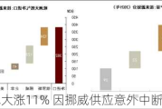 欧洲天然气大涨11% 因挪威供应意外中断