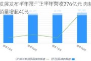 双汇发展发布半年报：上半年营收276亿元 肉制品新渠道销量增超40%