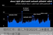 纽约汇市：美元升至2022年以来最高 欧元进一步下跌