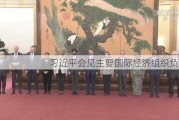 习近平会见主要国际经济组织负责人