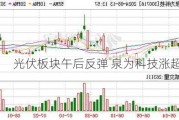 光伏板块午后反弹 泉为科技涨超10%