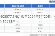 汇金通(603577.SH)：截至2024年5月20日，公司股东总数为16913户