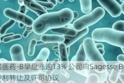 圣诺医药-B早盘涨逾13% 公司向Sagesse Bio签署专利转让及许可协议