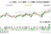 天源迪科：2024年上半年归属于上市公司股东的净利润约3060.53万元