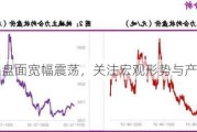 纯碱：盘面宽幅震荡，关注宏观形势与产业驱动