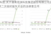 领湃科技:关于湖南领湃科技集团股份有限公司2024年第二次临时股东大会的法律意见书