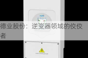 德业股份：逆变器领域的佼佼者