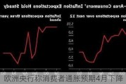 欧洲央行称消费者通胀预期4月下降