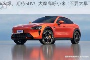 电车火爆，期待SUV！大摩高呼小米“不要太早下车”！